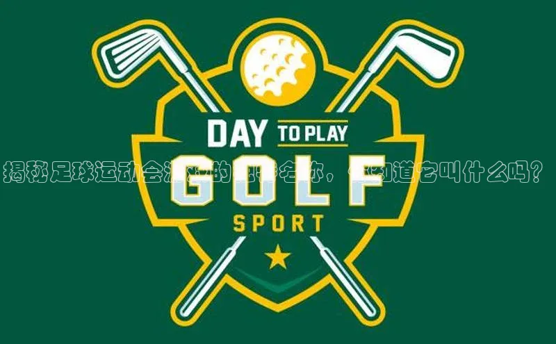 恒盛平台登录百度翻译App揭秘足球运动会游戏的独特名称，你知道它叫什么吗？