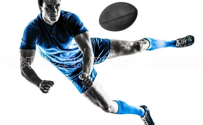 恒盛平台登录入口网页版滴滴出行足球明日之星：赵俊泽个人简历揭秘