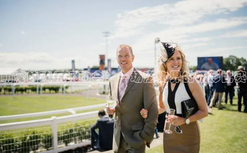 恒盛娱乐登录如流萌宠的欢乐运动会：一场宠物界的精彩比赛