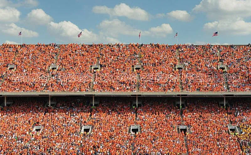 云端盛会：虚拟现实技术在2024年运动会中的应用与挑战