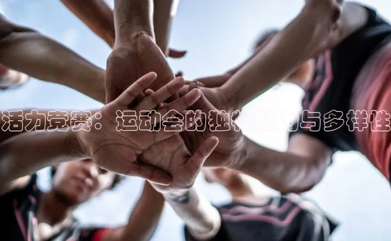 活力竞赛：运动会的独特魅力与多样性