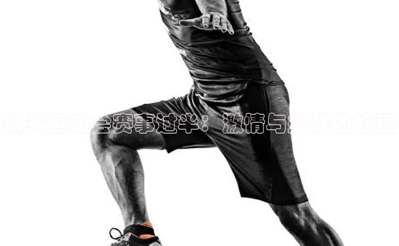 机关运动会赛事过半：激情与挑战的旅程