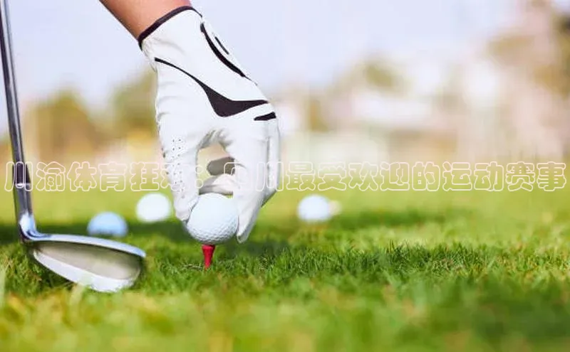 川渝体育狂欢：四川最受欢迎的运动赛事