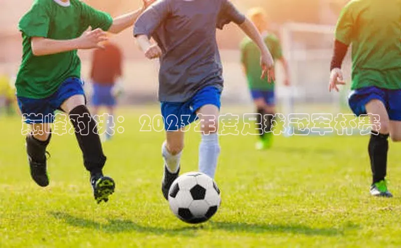 巅峰对决：2023年度足球冠军杯赛