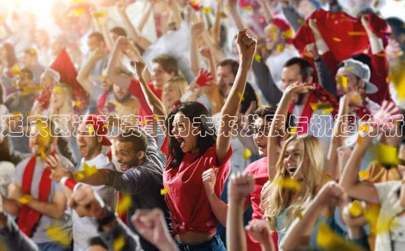 延庆区运动赛事的未来发展与机遇分析