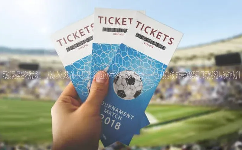 观赛之花：从入场到退场的全程体验——以体育赛事观礼为例