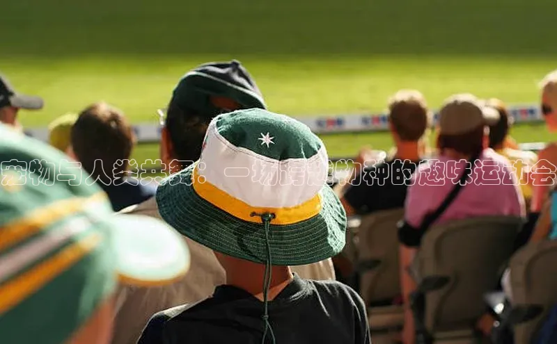 宠物与人类共舞：一场跨越物种的趣味运动会