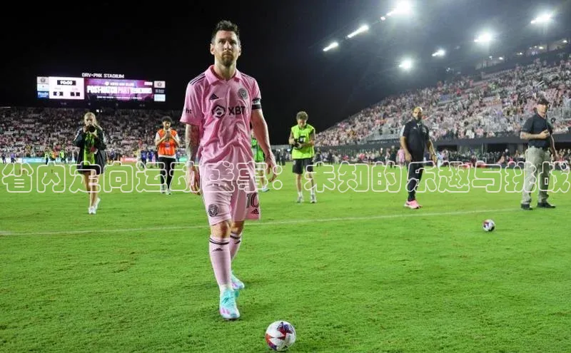 省内定向运动盛事：未知的乐趣与挑战