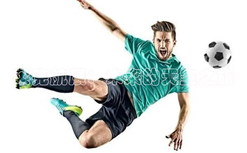 莱芜航展：未来的天空之旅