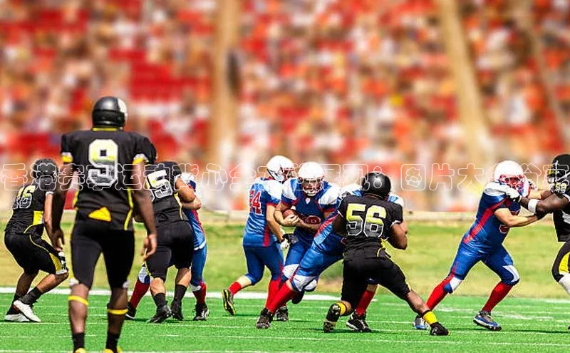 恒盛注册吧登录入口