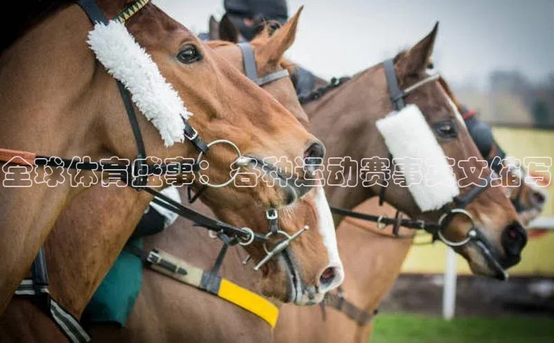 全球体育盛事：各种运动赛事英文缩写